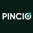Ikon program: Pincio