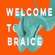 Ikon program: Braice