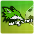 プログラムのアイコン：Football Tips