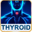 Thyroid Help & Foods Diet Tips