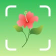 프로그램 아이콘: Plant Identifier: PlantSc…