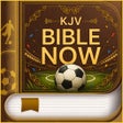 程序图标：KJV Bible now