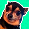 Icon of program: Best Dog Stickers for Wha…