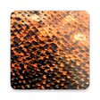 أيقونة البرنامج: Komodo 11 Chess Engine