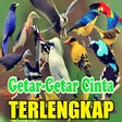أيقونة البرنامج: 1000 Suara Kicau Burung M…