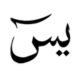 程序图标：Surah Yaasin - Plugin