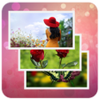 程序图标：Auto Live Wallapper Chang…