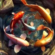 Icoon van programma: Koi Fish Live Wallpaper A…