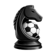 Ikon program: strategy  analysis sports