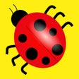 プログラムのアイコン：Weird Facts 1000 Cool  Tr…