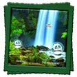Icon of program: Rain Forest Live Wallpape…