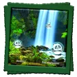 Rain Forest Live Wallpaper
