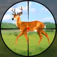 Deer Hunting games 2020: Wild animal gun shooting