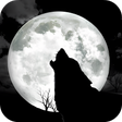 プログラムのアイコン：Moon Phases