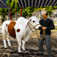 Icoon van programma: Animal truck game: Cargo …