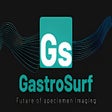 Icon of program: GastroSurf