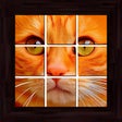 Иконка программы: Cats Puzzles - 101 pictur…