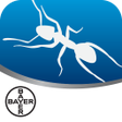 أيقونة البرنامج: Pest Portal