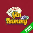 Icon of program: Gin Rummy Pro!