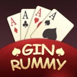 程序图标: Gin Rummy Pro