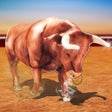 Icon of program: Wild Bull 2019 - City Dis…