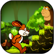 プログラムのアイコン：Jungle Bunny Run
