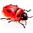 Programikonen: Flash Debugger