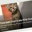 Icon of program: Trump Kittens