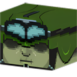 Ikon program: Guncraft