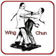 程序图标：Wing Chun