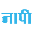 程序图标：NaaPI