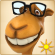 プログラムのアイコン：Magic Camel