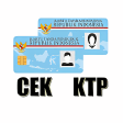 Cek KTP Online