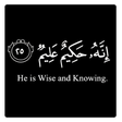 Icon of program: Islamic Reminders Quotes