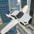 프로그램 아이콘: Flying Car Sim