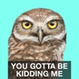 ไอคอนของโปรแกรม: iBird Stickers
