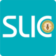 Ikon program: SLIC