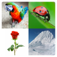 Ikona programu: Learn English Words