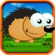 ไอคอนของโปรแกรม: Hedgehog Dash Bounce
