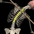 プログラムのアイコン：Posture by Muscle  Motion