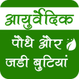 程序图标：Ayurvedic Plants  Herbs I…