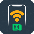 Netstat Network Interface Info