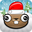 Ikona programu: Noogra Nuts Seasons