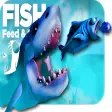 Guide For : Feed and Grow Fish