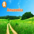 Biểu tượng của chương trình: Amazonica