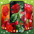 程序图标：3D Red Rose Live Wallpape…