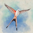 프로그램 아이콘: Wingspan