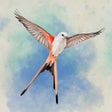 プログラムのアイコン：Wingspan