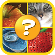 4 Pics 1 Word Puzzle icon