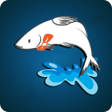 Icon of program: Nodir Mach Online Shoppin…